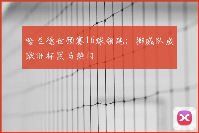 哈兰德世预赛16球领跑:挪威队成欧洲杯黑马热门