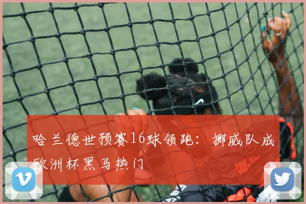 哈兰德世预赛16球领跑:挪威队成欧洲杯黑马热门