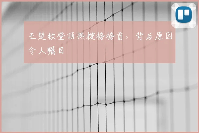 王楚钦登顶热搜榜榜首,背后原因令人瞩目